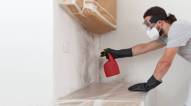 Attic Mold Remediation treatment on roof deck in West Point