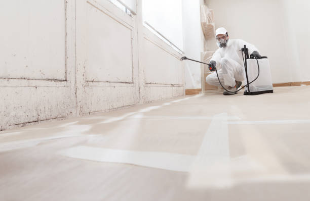 Black mold remediation team in West Point